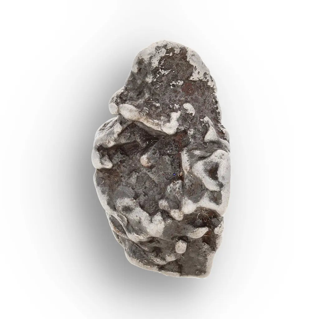 Authentic Campo del Cielo Space Rock Argentina