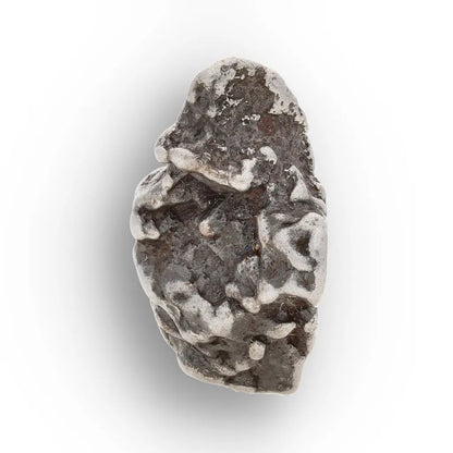 Authentic Campo del Cielo Space Rock Argentina