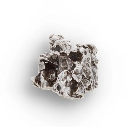 Campo del Cielo Iron Meteorite from Argentina