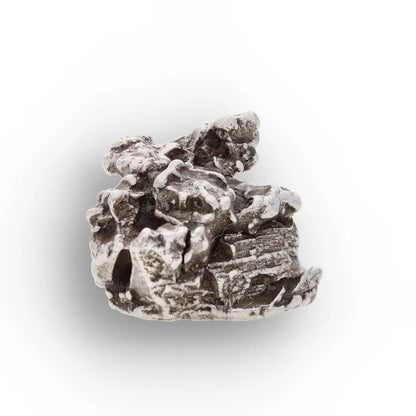 Campo del Cielo Iron Meteorite from Argentina