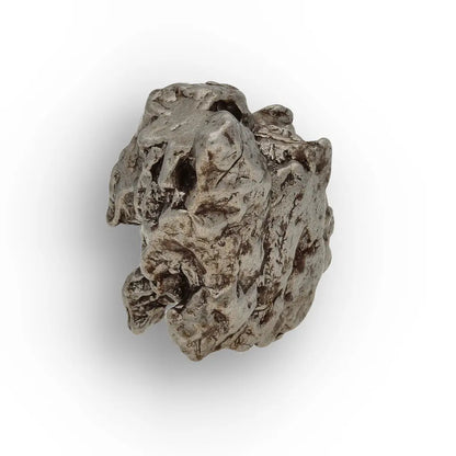 Campo del Cielo Meteorite Natural Sculptural Iron Fragment