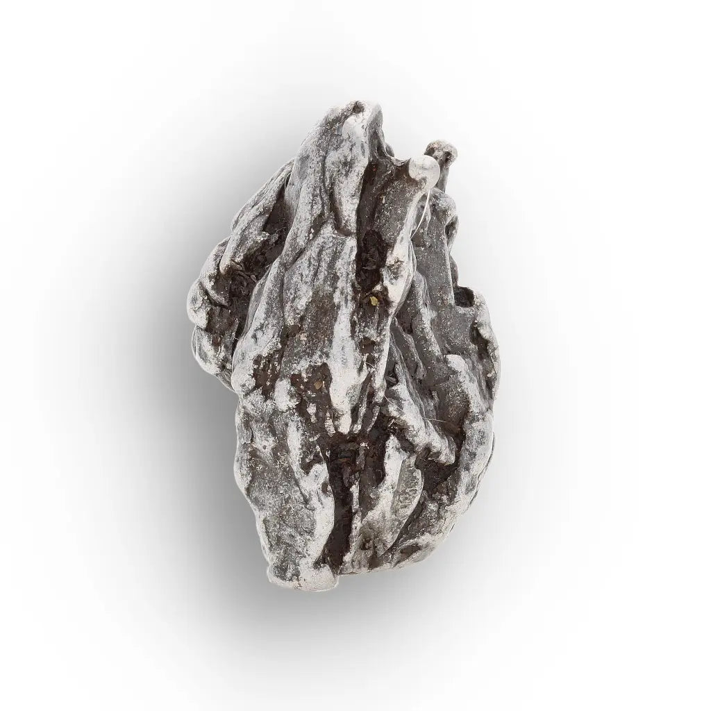 Campo del Cielo Meteorite Fragment Argentina