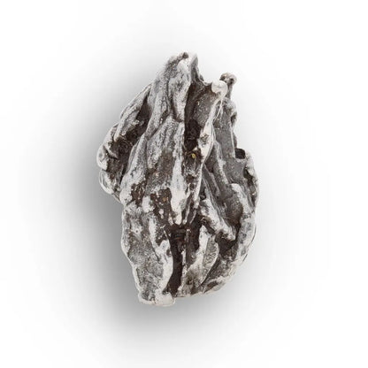 Campo del Cielo Meteorite Fragment Argentina