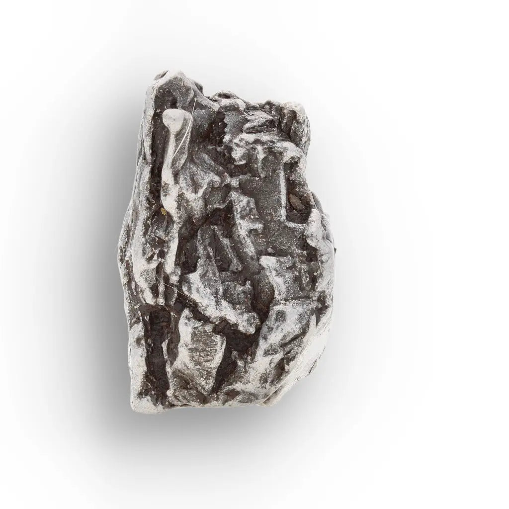 Campo del Cielo Meteorite Fragment Argentina