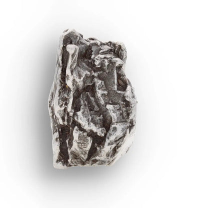 Campo del Cielo Meteorite Fragment Argentina