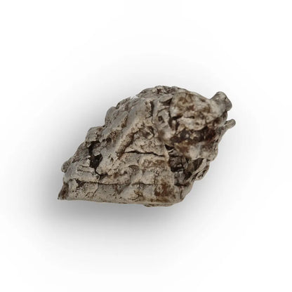 Campo del Cielo Meteorite Flowing Natural Iron Sculpture