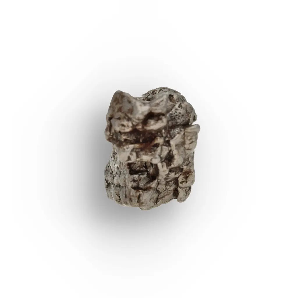 Campo del Cielo Meteorite Flowing Natural Iron Sculpture