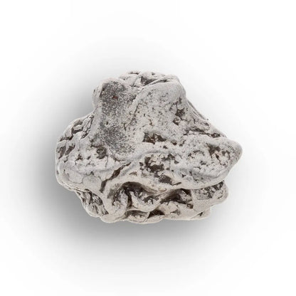 Genuine Campo del Cielo Meteorite Argentina