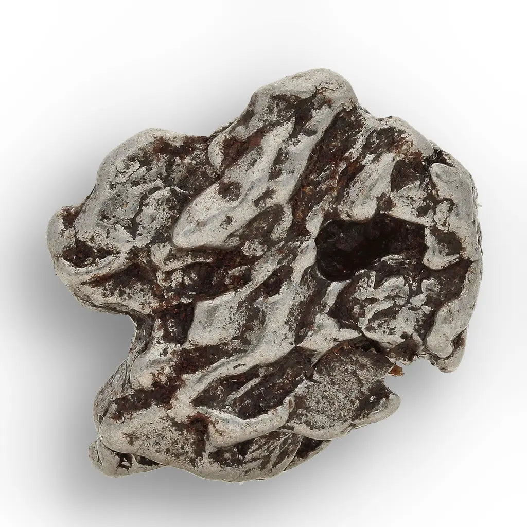 Campo del Cielo Meteorite with Sculpted Natural Iron Form