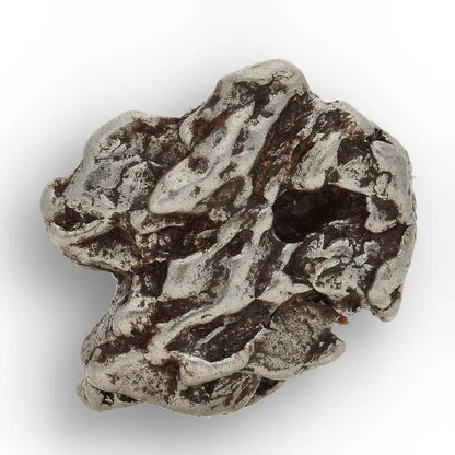 Campo del Cielo Meteorite with Sculpted Natural Iron Form