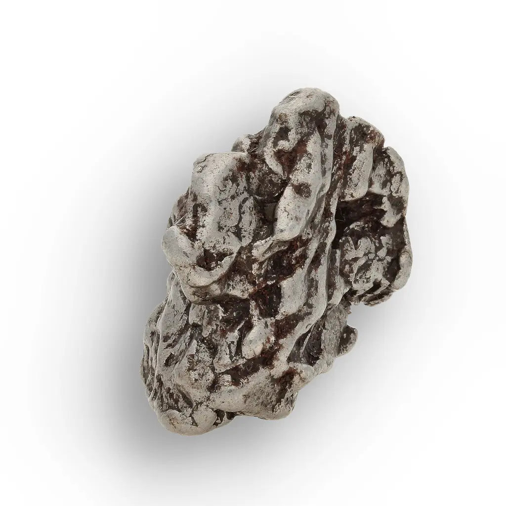 Campo del Cielo Meteorite with Sculpted Natural Iron Form