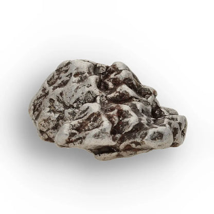 Campo del Cielo Meteorite with Sculpted Natural Iron Form