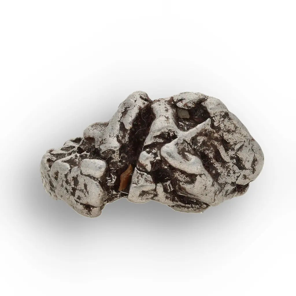 Campo del Cielo Meteorite with Sculpted Natural Iron Form