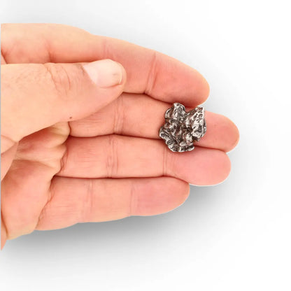 Campo del Cielo Meteorite with Sculpted Natural Iron Form