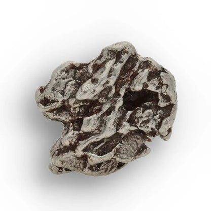 Campo del Cielo Meteorite with Sculpted Natural Iron Form