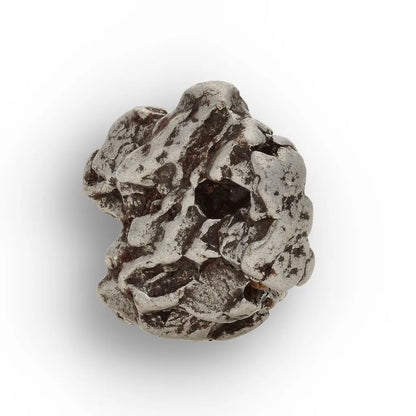 Campo del Cielo Meteorite with Sculpted Natural Iron Form