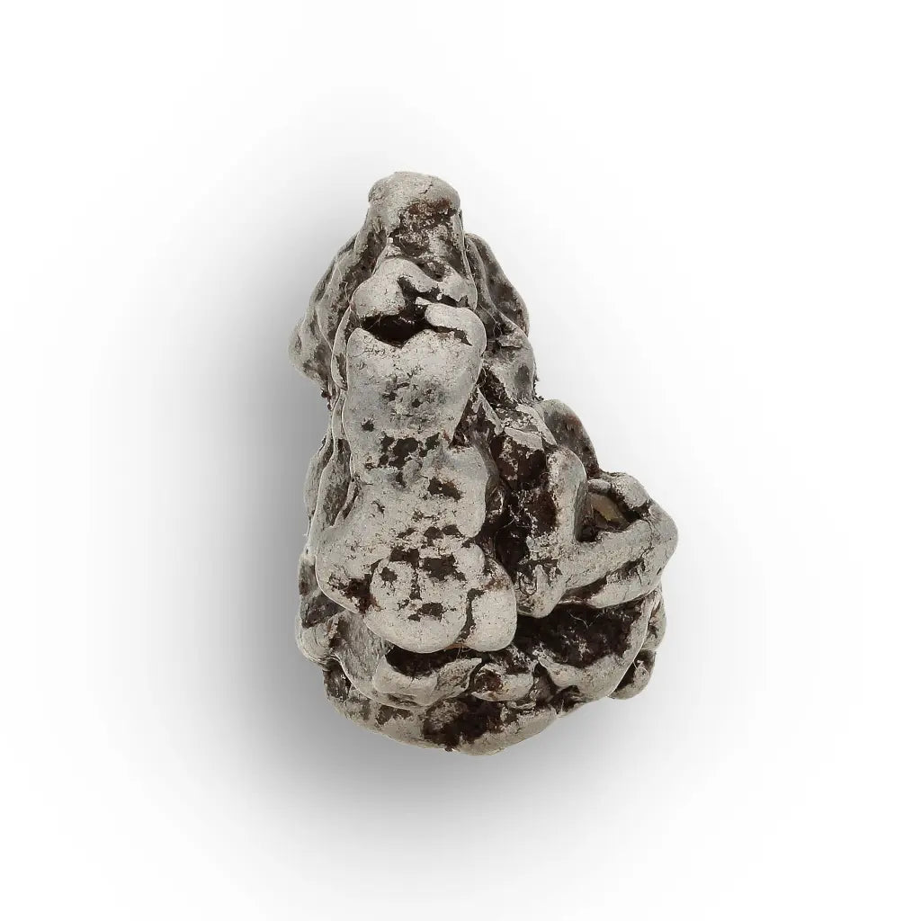 Campo del Cielo Meteorite with Sculpted Natural Iron Form