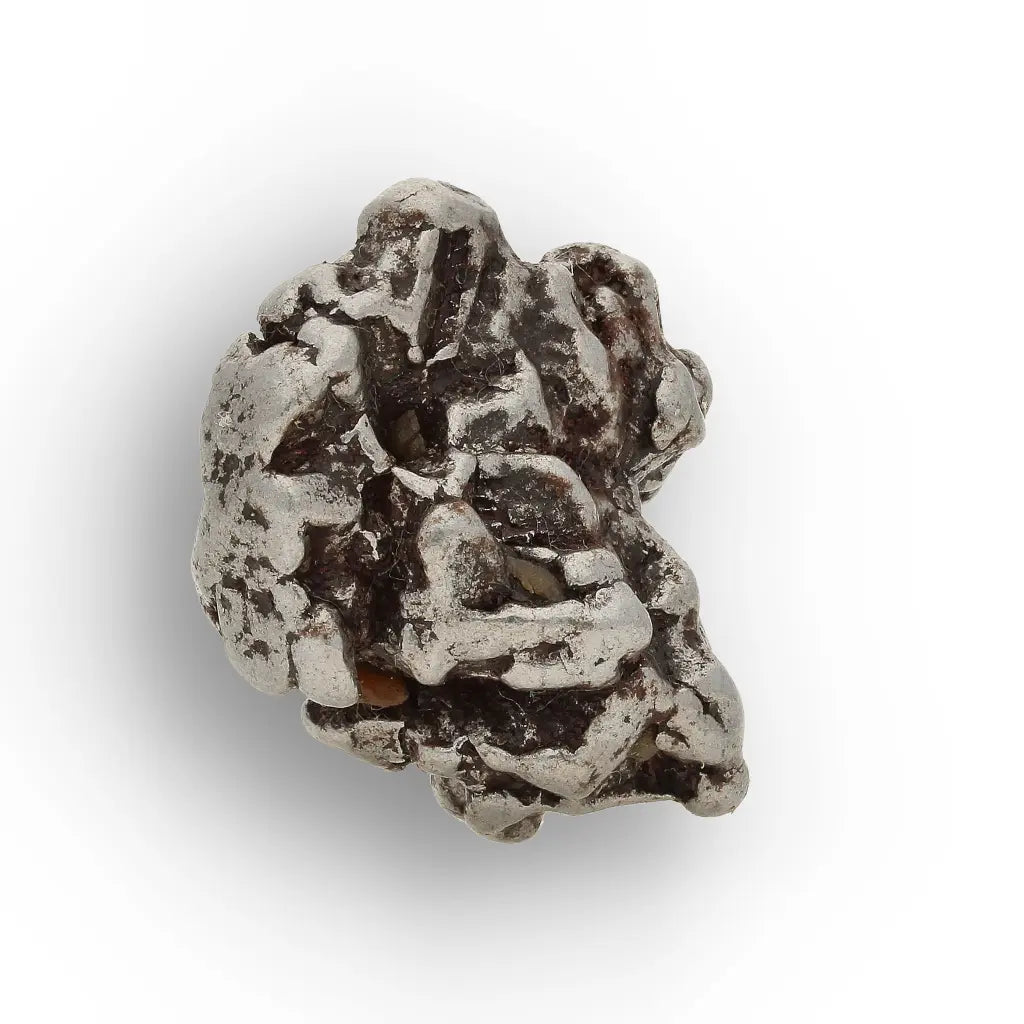 Campo del Cielo Meteorite with Sculpted Natural Iron Form