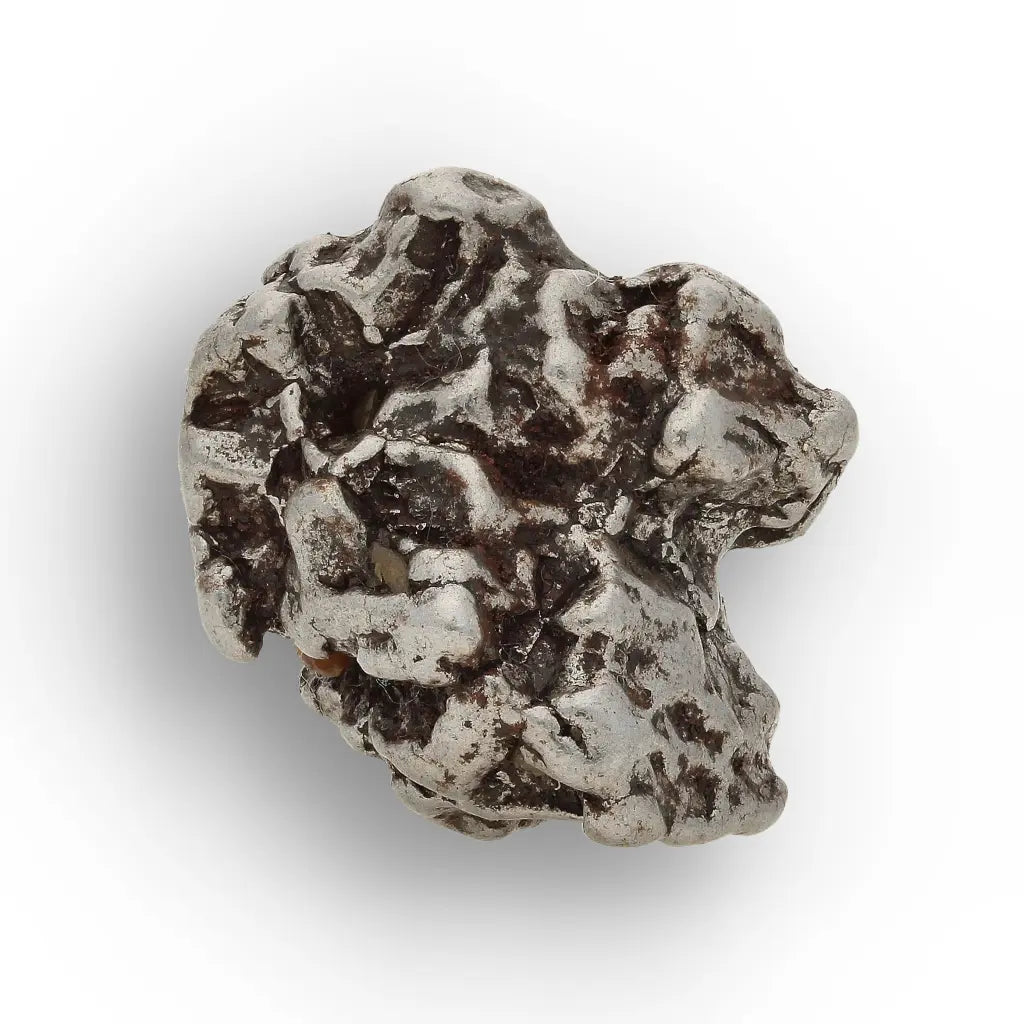 Campo del Cielo Meteorite with Sculpted Natural Iron Form