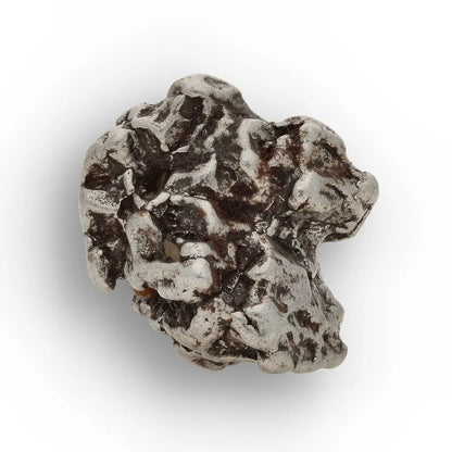 Campo del Cielo Meteorite with Sculpted Natural Iron Form