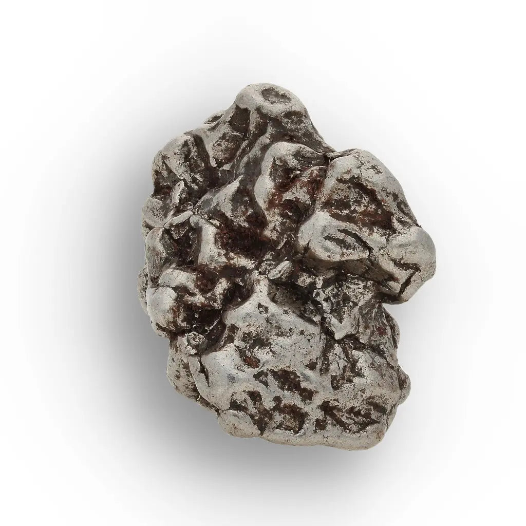 Campo del Cielo Meteorite with Sculpted Natural Iron Form