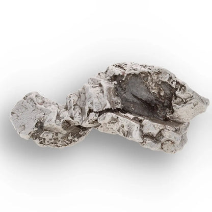 Authentic Campo del Cielo Meteorite Piece