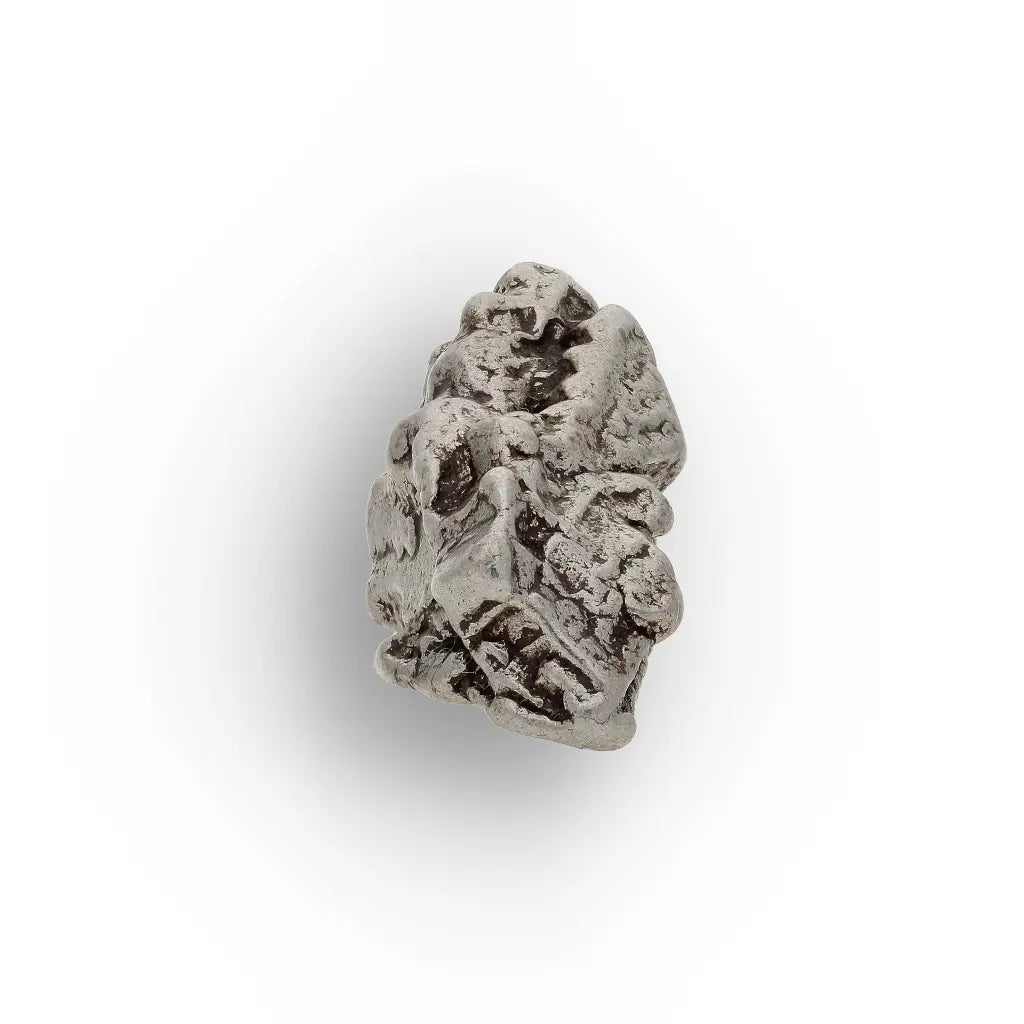 Authentic Campo del Cielo Meteorite Collector Display Piece