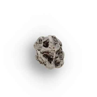 Authentic Campo del Cielo Meteorite Collector Display Piece