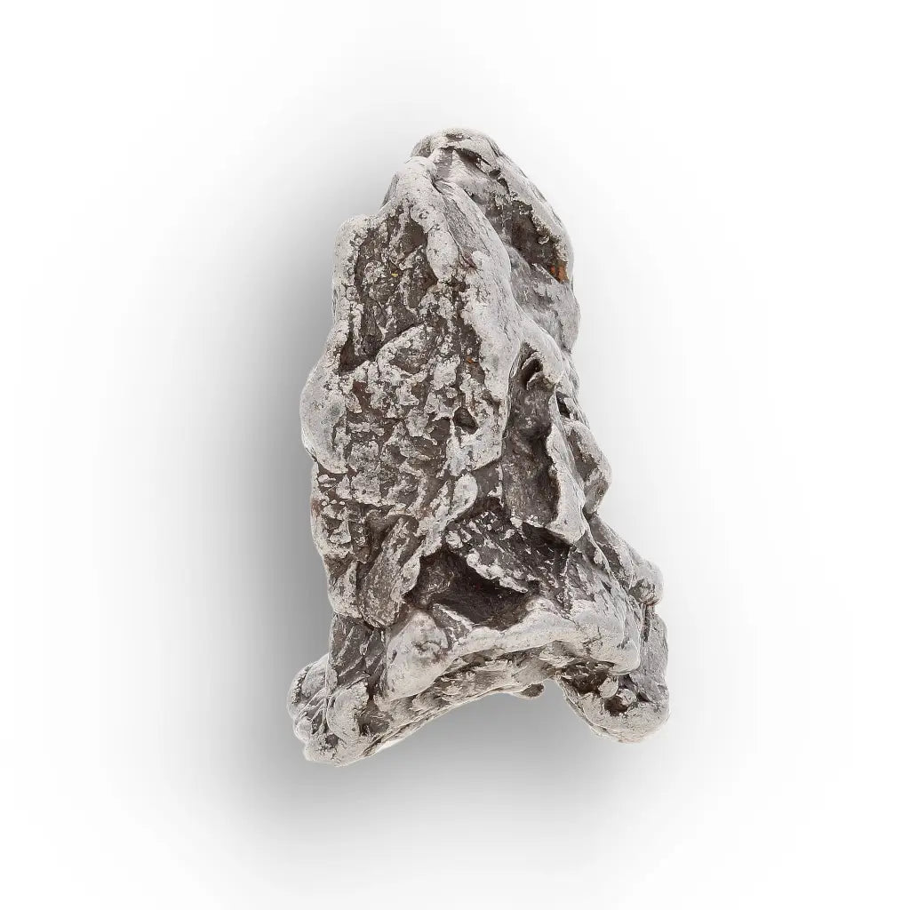 Real Campo del Cielo Meteorite Argentina