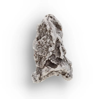 Real Campo del Cielo Meteorite Argentina