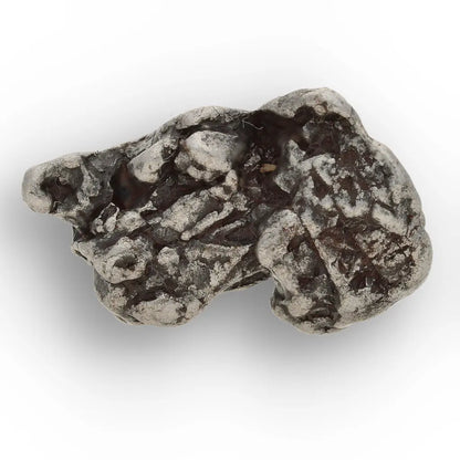 Authentic Campo del Cielo Iron Meteorite Display Specimen
