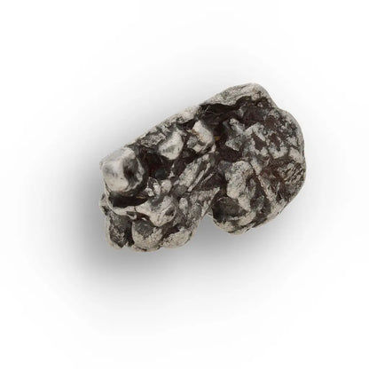 Authentic Campo del Cielo Iron Meteorite Display Specimen