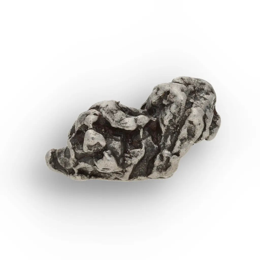 Authentic Campo del Cielo Iron Meteorite Display Specimen