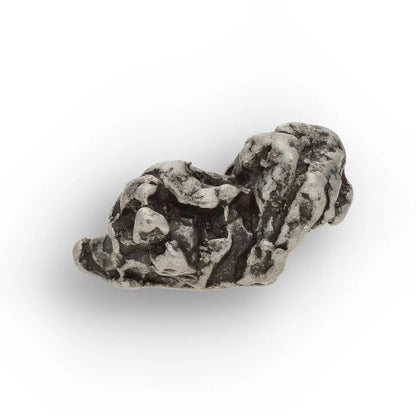 Authentic Campo del Cielo Iron Meteorite Display Specimen