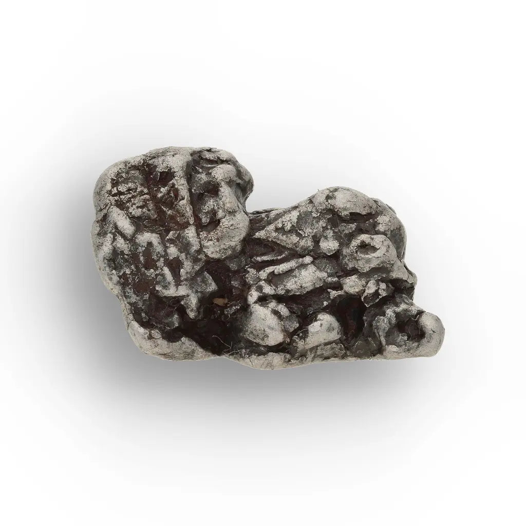 Authentic Campo del Cielo Iron Meteorite Display Specimen