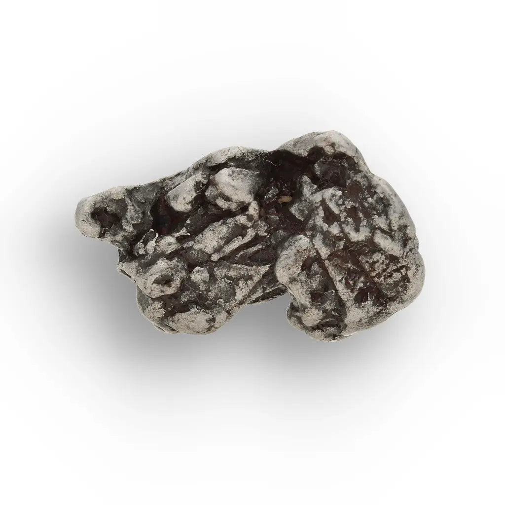 Authentic Campo del Cielo Iron Meteorite Display Specimen