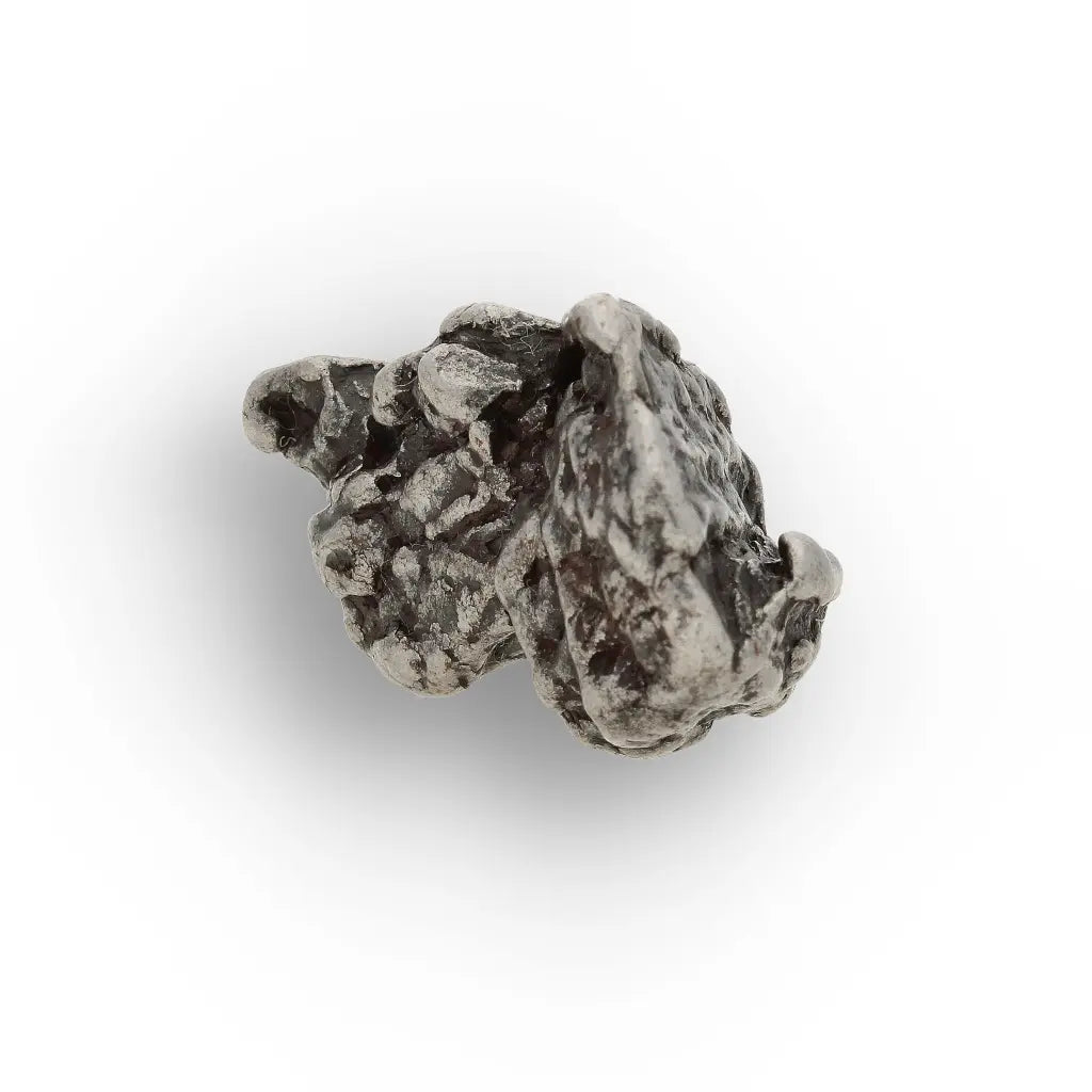 Authentic Campo del Cielo Iron Meteorite Display Specimen