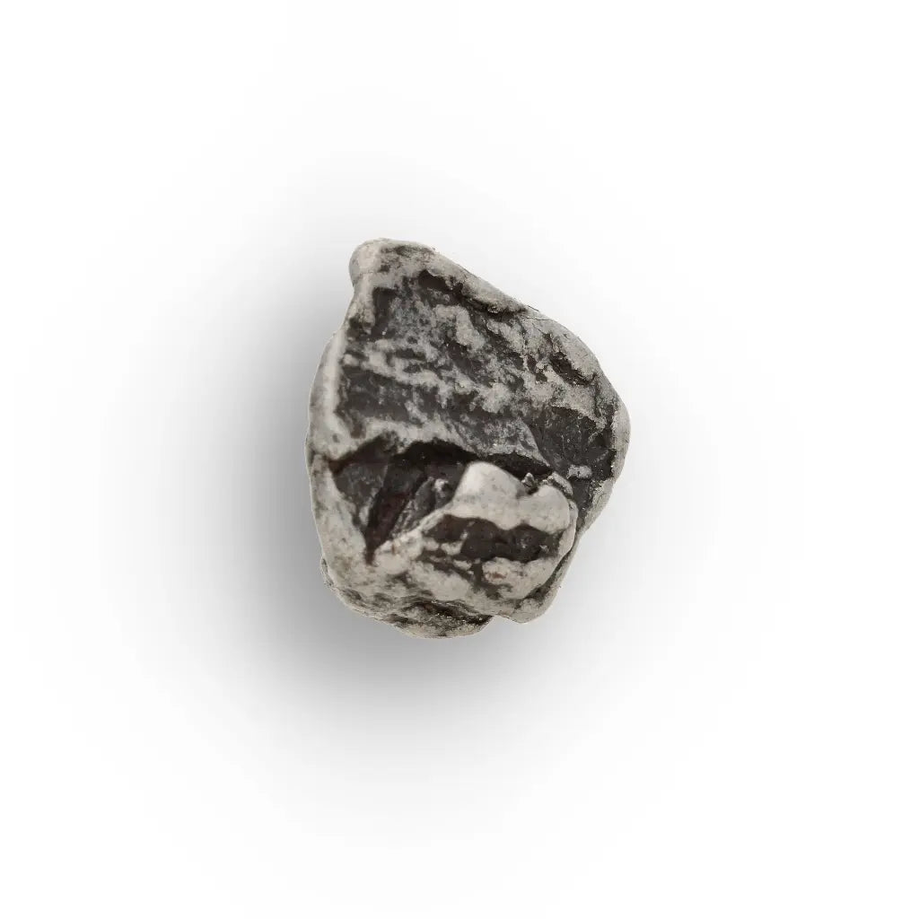 Authentic Campo del Cielo Iron Meteorite Display Specimen