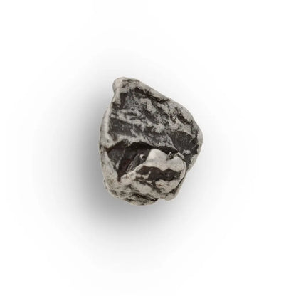 Authentic Campo del Cielo Iron Meteorite Display Specimen