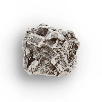 Campo del Cielo Iron Meteorite Argentina