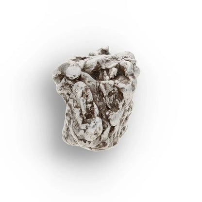 Campo del Cielo Iron Meteorite Argentina