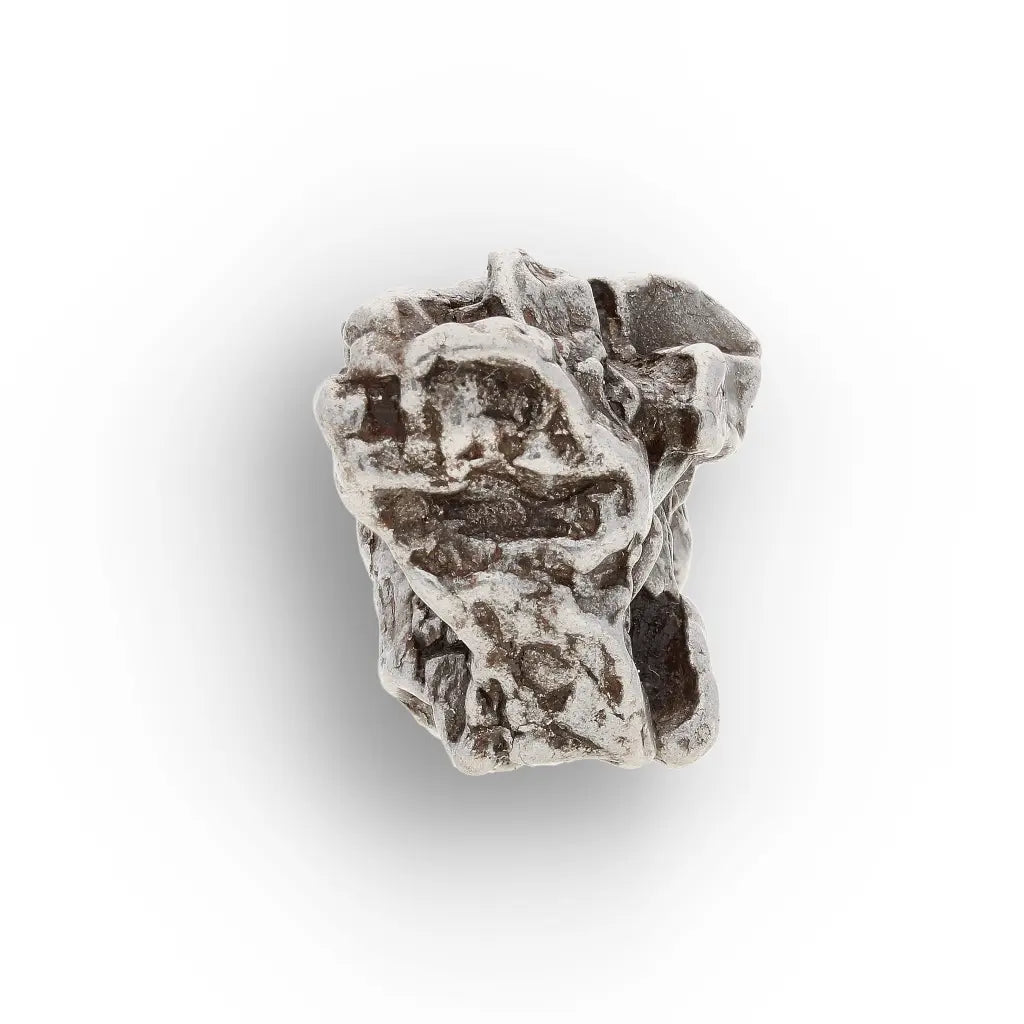 Campo del Cielo Iron Meteorite Argentina