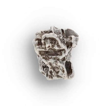 Campo del Cielo Iron Meteorite Argentina
