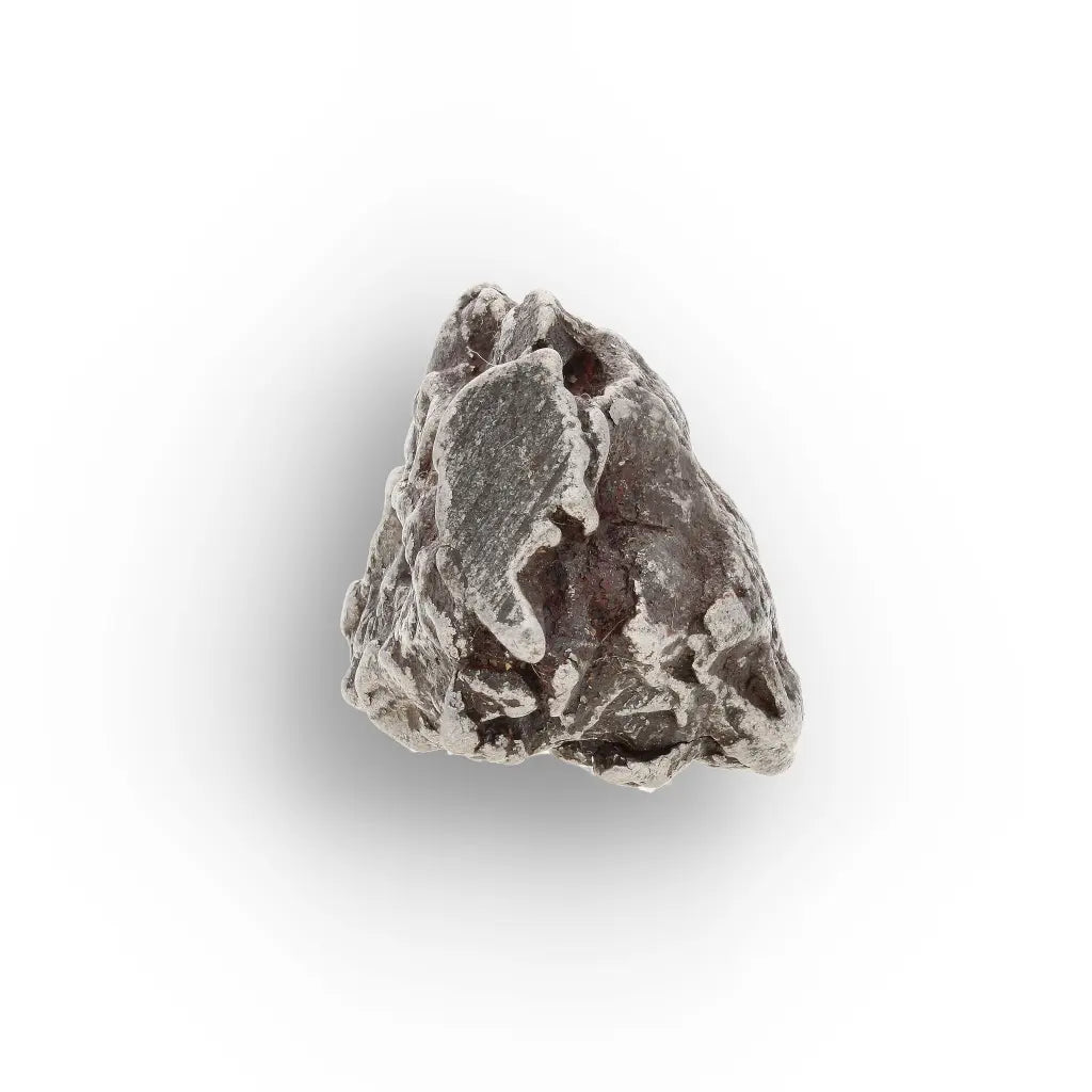 Campo del Cielo Argentina Iron Meteorite