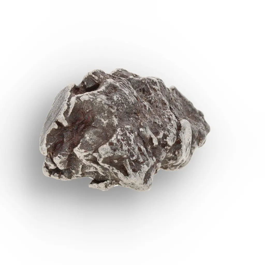 Campo del Cielo Argentina Iron Meteorite