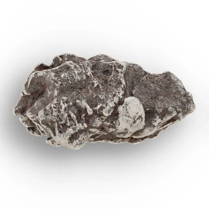 Campo del Cielo Argentina Iron Meteorite
