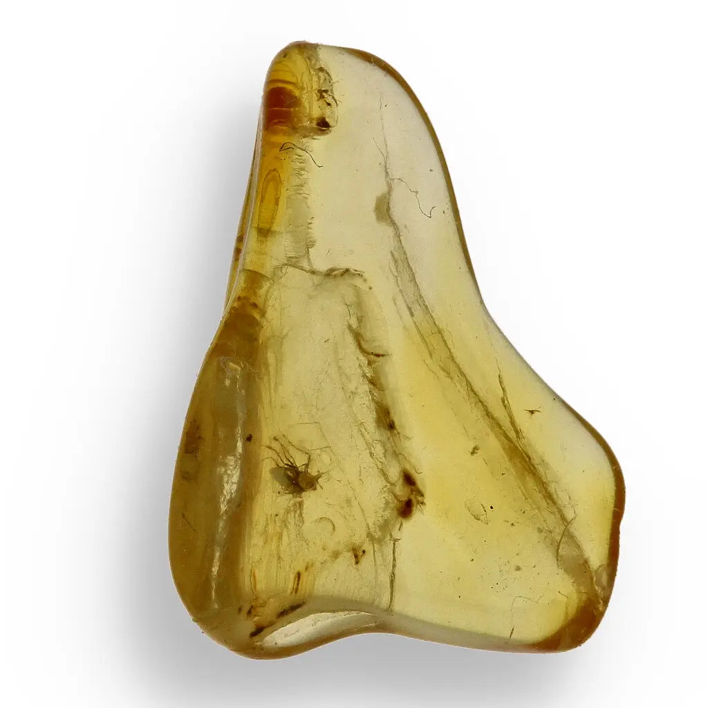 Get your Authentic Baltic Amber Insect Inclusion Fossil from Lithuania online now or in store at Forever Gems in Franschhoek, South Africa