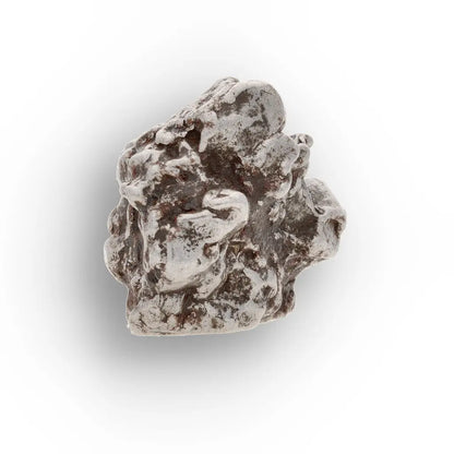 Campo del Cielo Collector Meteorite Piece