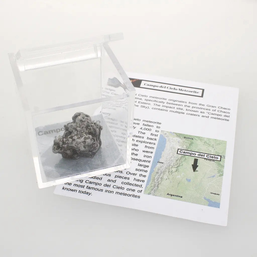 Campo del Cielo Collector Meteorite Piece