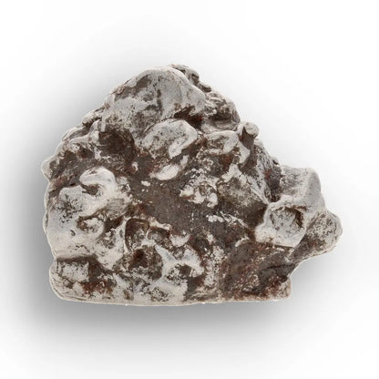 Campo del Cielo Collector Meteorite Piece